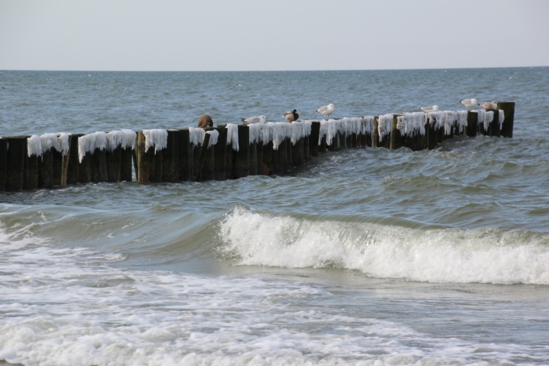 Strandhotel Deichgraf Ostsee Hotel