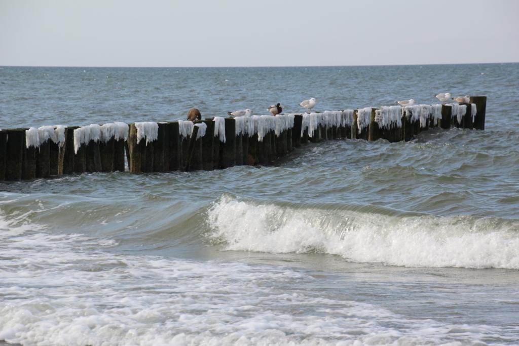 Strandhotel Deichgraf Ostsee Hotel