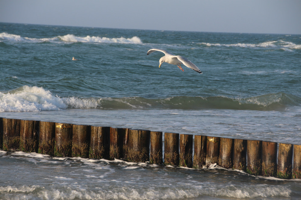 Strandhotel Deichgraf Ostsee Hotel